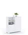 Regal 100 niedrig Fashion Mint